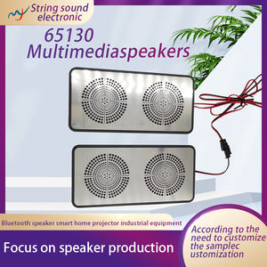 Intelligent Home Appliance Accord Son Double Magnétique Carré Intégré Cavité Haut-Parleur Dissipation de la Chaleur Sortie d'Usine Directe - Product Image 6