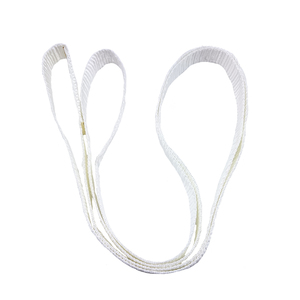 Hot Selling 1Ton 2.5m 50mm Safety Factor 7:1 <strong>Polyester</strong> Lifting Soft One Way <strong>Sling</strong> Belt Endless <strong>Webbing</strong> <strong>Sling</strong> for Lifting - Product Image 2