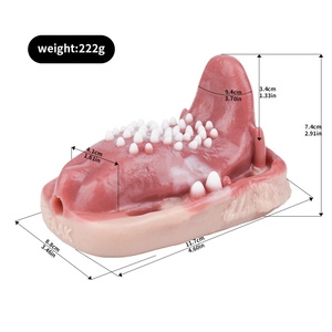 FAAK Vibrador Inalámbrico con Control Remoto, Juguete Sexual de Silicona con Lengua Realista, Estimulador de Glándulas, Próstata y Clítoris - Product Image 6