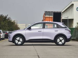 Precio Razonable, Nuevo Modelo, Vehículo Eléctrico Puro Geely Galaxy Star Wish XinYuan 310KM, Ideal para <span class=keywords><strong>Distribuidores</strong></span> y Concesionarios Globales de Vehículos Eléctricos - Product Image 3