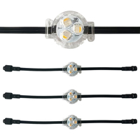 Lumières LED de Noël permanentes de style pierre précieuse, étanches IP68, RGB 12V, Ra90, 100lm/W, garantie 5 ans, sans fil