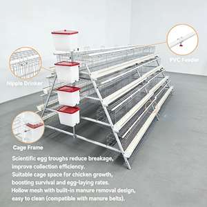 Yeni Tarım Kafesleri Ticari Ev Yetiştiriciliği Tavuklar İçin Hasır Zemin Yemlik Ekipman Kutusu Yuvalama Horoz Kolonisi Tavuk Kafesi - Product Image 1