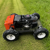 Cortadora de Césped Industrial con Control Remoto, Ancho de Corte de 550 mm, Ángulo de Inclinación de 45°, Motor de Gasolina, Caja Recolectora de 60L, Personalización OEM