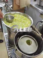 Machine de séchage automatique des légumes Déshydrateur Laitue Chips de pommes de terre Essoreuse à légumes