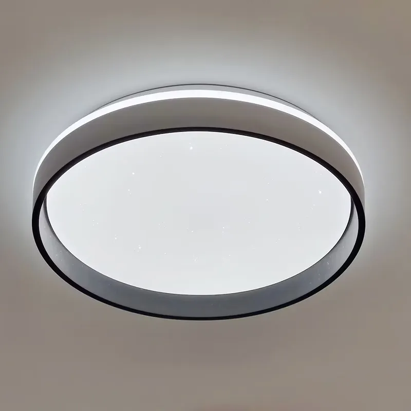 Modern Dimmable LED Flush Mount Ceiling Light LED Close To Ceiling Light Fixture Ceiling Lamp For Kitchen Living Room Bedroom