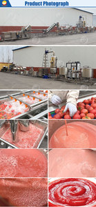 Ligne <span class=keywords><strong>de</strong></span> production industrielle et commerciale automatique pour la fabrication <span class=keywords><strong>de</strong></span> sauce, purée et pâte <span class=keywords><strong>de</strong></span> tomates italiennes - Product Image 6