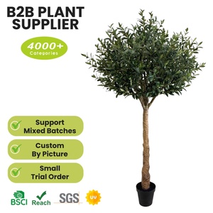 Arbre d'olivier artificiel de qualité supérieure avec tronc naturel et feuilles vertes, grand arbre réaliste avec <span class=keywords><strong>pot</strong></span> pour salon et jardin - Product Image 2