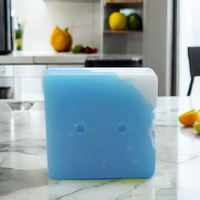 Packs de glace en gel en plastique PE durables et réutilisables, isolés et thermiques, pour refroidir les éléments dans les aliments congelés