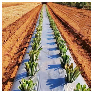 Машина для пересадки ананасов и овощей, 2-рядная, для посадки лука - Product Image 5