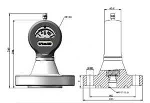 Manómetro de Alta Precisión para Perforación Petrolera, Conexión de Brida para Bomba de Lodo Tipo F-F API 7K, Rango de Temperatura y Presión Amplio - Product Image 3