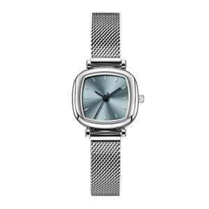 Compact Retro Artistic Square Dial Female Student Watch Cross-Border Casual Glass <b>Window</b> Steel <b>Mesh</b> Strap Coin Type Plastic Band - Product Image 5