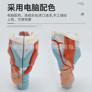 2 - Product Image 2
