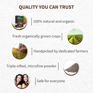 Wholesale Custom Logo Natural Henna Powder Organic <strong>Hair</strong> <strong>Dye</strong> 100% Gray Henna <strong>Hair</strong> Color Cream - Product Image 5