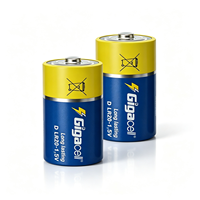 Piles Gigacell Super Alcalines Type D, Pack de 2, Longue Durée, pour Maison Intelligente et Accessoires Informatiques