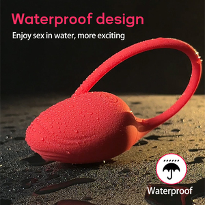 APP Hot For Love, Control Remoto Inalámbrico, Bragas Vibratorias, Juguete Sexual Femenino para Adultos, Juego al Aire Libre, Masturbación - Product Image 5