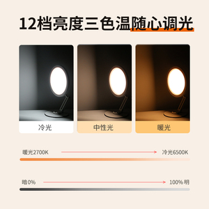Nouvelle Lampe Annulaire LED Portable ZM26 pour Selfie, Vidéo et Photo, Rechargeable, 10 Pouces, Lumière d'Appoint Beauté pour <span class=keywords><strong>TikTok</strong></span> - Product Image 4