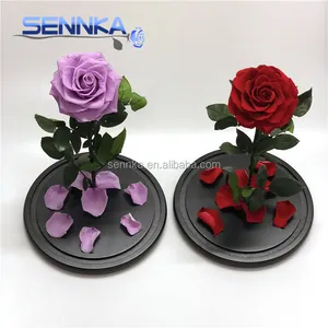 Logo personalizzato regalo di san valentino fiori artificiali di rosa blu reale stabilizzati adorabili rose viola conservate in cupola di vetro