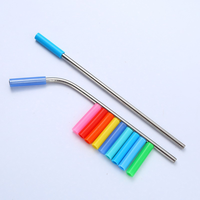 Pailles à boire réutilisables en acier inoxydable 304 avec embouts en silicone souple, portables et lavables, ensemble tendance