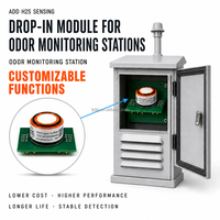 Module de capteur de gaz H2S à sortie stable, électrochimique, 0-100 ppm, haute précision, qualité industrielle, pour surveillance continue, OEM