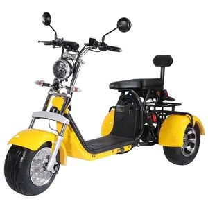 3 Wheels Fat Tire Citycoco Electric Scooter Free Shipping To Europe and US Three Wheel Electric Motorcycle