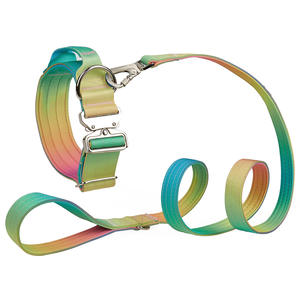 Collares para Perros Grandes de Nailon Resistente de 2 Pulgadas, Color Nuevo, Personalizados, de Alta Calidad, con Asa y Acolchado de Neopreno, <span class=keywords><strong>2026</strong></span> - Product Image 1