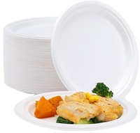 Assiette jetable compostable écologique moderne de marque Neatal en bagasse de canne à sucre pour fêtes et camping – Prix de gros bas