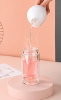 Bouteille Isotherme Transparente à Double Paroi en Verre avec Infuseur à Thé 500ml Portable Résistante à la Chaleur Anti-Fuite avec Bouchon à Vis pour l'Extérieur