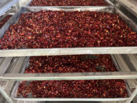 Four de torréfaction à chaud pour aliments secs, équipement de traitement thermique pour cacao, grains de café, sucre en poudre et épices, vente chaude directe usine Chine