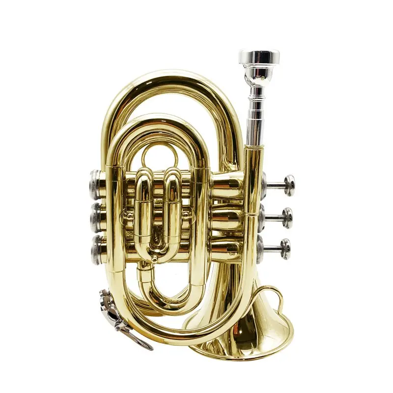 Terompet B datar terompet Mini profesional Trumpet kualitas tinggi terompet tiga warna pemula untuk dijual musik