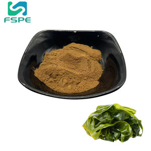 خلاصة عشب البحر 10:1 مسحوق عشب لامينارين عشب البحر عديد السكاريد من ألاريا إسكولينتا - Product Image 1