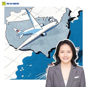 Servicios Profesionales de Transporte Aéreo de Carga desde China a EE. UU., Canadá, Reino Unido y Francia, Entrega Rápida Puerta a Puerta, Tarifas Económicas - Product Image 1