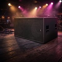 Altavoz Line Array Activo TP218 Pro de 1600W de Alta Potencia, con Caja de Madera Contrachapada de 18 Pulgadas, para Escenarios, KTV, con Bajos Potentes, Color Negro, Pico de 6400W