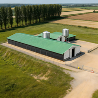 Poulailler moderne en structure acier à grande portée, anti-corrosion, avec ventilation intégrée, personnalisable pour l'élevage de volailles