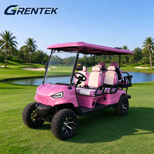 Carrito de Golf Eléctrico Todoterreno de 6 Plazas Personalizado de Alta Calidad, Vehículo de Caza 2+2, Adaptado para Caminos No Públicos - Product Image 3