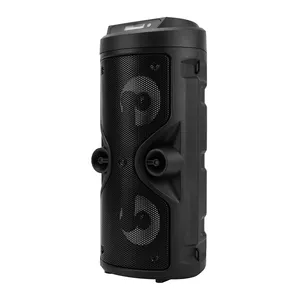 SONAC TG-4209新款2 * 4英寸便携式扬声器空音箱30瓦扬声器4英寸便携式扬声器