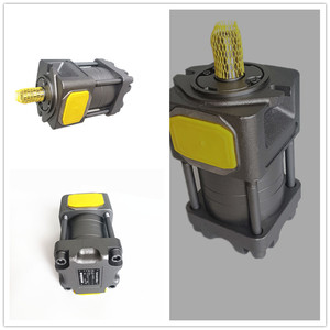 ปั๊มไฮดรอลิกน้ำมัน CQTM42-20FV-3.7-3R-S1264-E ปั๊มระบายความร้อนประสิทธิภาพสูง ประเภทสินค้า ปั๊มไฮดรอลิก CQTM43 - Product Image 2