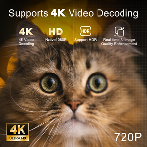 Android 12 gtv 1080P HD hiển thị LCD và LED Home sử dụng kinh doanh với máy chiếu gtv Chipset 4K Android Google chiếu - Product Image 5