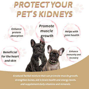 อาหารเสริมเพิ่มกล้ามเนื้อสำหรับสุนัข Pet Yuan Pet Health สูตร Dog Bully Max ช่วยเพิ่มน้ำหนัก - Product Image 6