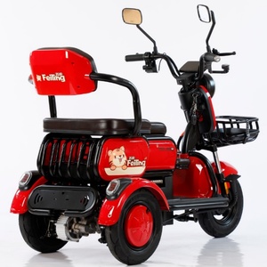 Nouveau tricycle électrique domestique haute vitesse 60V 800W, véhicule électrique à trois roues, 5 passagers, 1000W, électro-tricycle pour personnes âgées - Product Image 6