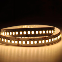 Tira de Luces LED Inteligente de 120 LED/m con Conexión USB para Hoteles, 3000K-6500K, RA80, Un Solo Color, SMD 2835, 12V Blanco Cálido, 24V, IP20, 8mm