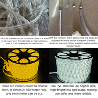 Fournisseur en gros de guirlandes LED rondes à double ligne IP65 résistantes à la neige de 13 mm, 220 V, RGB blanc chaud pour l'éclairage des parcs d'attractions et des fêtes