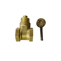 Vanne à opercule en laiton DN15~DN50, manuelle, pour usage industriel, avec clé triangulaire pour compteur d'eau, anti-vol, pour la conservation de l'eau