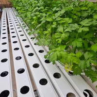 Système hydroponique personnalisé en tuyaux PVC carrés, système NFT en plastique, tuyaux carrés pour plantes hydroponiques, système de tuyaux NFT, tuyaux de drainage