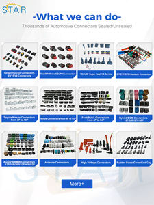 Faisceau électrique usine de fabrication de faisceau de câbles de câblage universel 6.3mm série 2 broches fabricant de faisceau de câbles électriques - Product Image 5