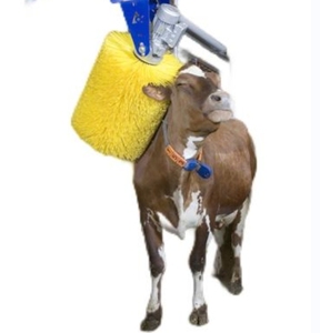 Spazzola Per Bestiame - Grattugia Per Mucche, Cavalli E Pecore - Massaggiatore Con Setole In Nylon E Pioli Per Fissaggio
