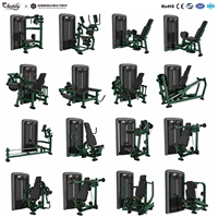 Ensemble complet de machines de musculation en acier robuste, fourni par le fabricant, équipement de fitness commercial professionnel pour l'entraînement de force
