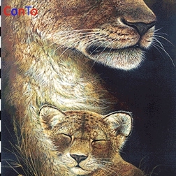 Kit de tapisserie Gobelin Wiehler, prix direct usine - Product Image 6