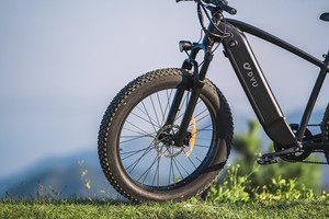 <span class=keywords><strong>DYU</strong></span>-<span class=keywords><strong>Bicicleta</strong></span> eléctrica para adultos, nuevo modelo de velocidad, motor interno de 750W, batería de 48V, material de horquilla de aluminio - Product Image 6