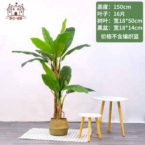 Arbre bananier artificiel Dream Castle, 100-200 cm, en pot, décoration intérieure, plante de grande taille, ornement paysager - Product Image 4