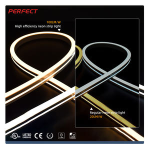 Luz de Neón de Silicona de Fábrica al por Mayor, Disponible en Varios Colores, con Tres Lados, Buena Flexibilidad, Luz LED de Neón para Exteriores - Product Image 1